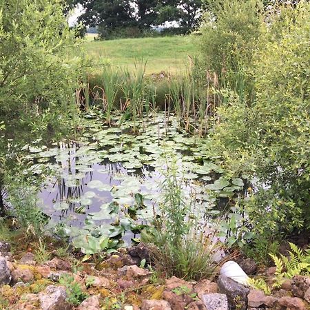 Cottage A La Campagne Avec Piscine Et Spa Ardentes Exterior photo